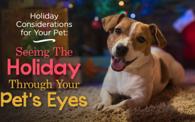 Holiday Considerations for your Pet