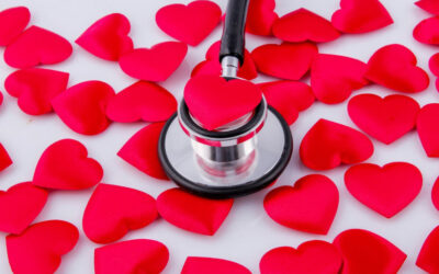 Quiet Heroes Behind Healthy Pets: Veterinary Technicians